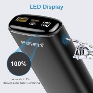 PISEN Portable Power Bank (2)